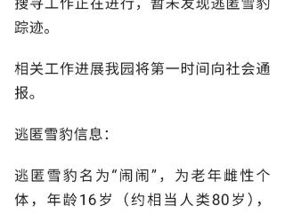 西宁野生动物园一只老年雪豹凌晨“越狱” 搜寻工作正在进行