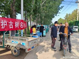 聊城市资规局开发区分局组织开展古树名木保护科普宣传周活动