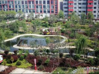 从租不到到租得好，临沭县30套人才公寓这样留住主播的心