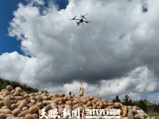 “无人机+”助推农业变革 “飞哥”“飞姐”打破山区阻隔