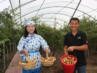 沾化区黄升镇乡村振兴计划志愿者助力丰收节冬枣销售