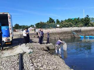 威海高区：科技赋能守护蔚蓝，4000余万尾苗种入海焕发生机