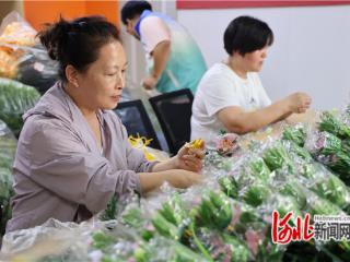 石家庄市桥西区：“小微工厂”促就业 巧手编织幸福花