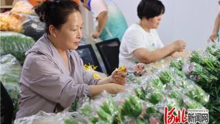 石家庄市桥西区：“小微工厂”促就业 巧手编织幸福花