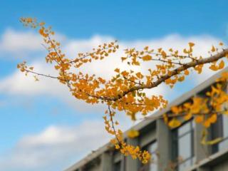 天山实验中学：以 “思方行圆、志远意坚” 坚守教育初心，构建全面增值育人生态