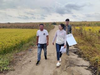 人保财险通化分公司：多举措护航秋粮丰收 筑牢乡村振兴“保险屏障”