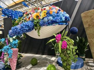 为期15天！9月28日济南商河花卉博览会正式拉开帷幕