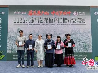 张家界：茶香漫长寿 产销架金桥聚力产业振兴