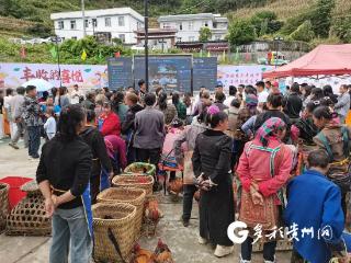 普安兴中镇举办丰收季直播助农活动