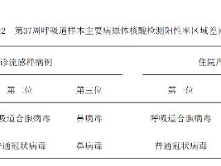 小叶医探 | 低龄娃注意！近期这种病毒感染处于上升趋势