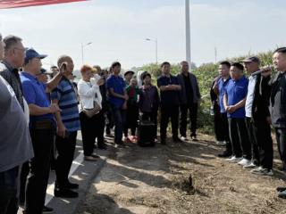 固安举办“农大778”玉米新品种现场观摩会