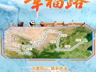 互动H5丨九曲黄河幸福路
