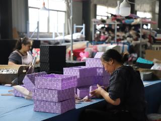 聊城智汇 链接全球丨年销海外近8000万，泊西集团凭收纳盒从乡镇驶向全球