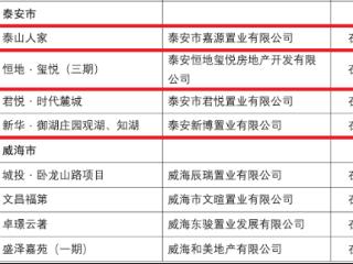 多维赋能提质效 泰山区高品质住宅建设助力现代化城市新格局