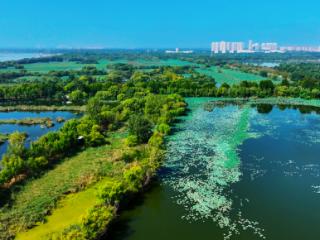 不必远行，太白湖新区秋日限定美景加载中