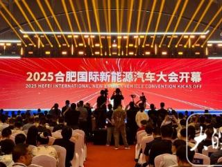 2025合肥国际新能源汽车大会开幕 蔚来李斌称纯电大三排SUV时代已到来