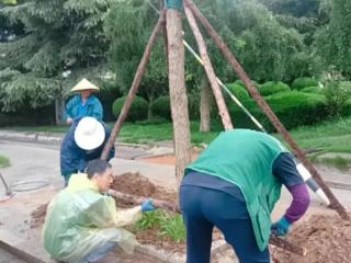威海环翠：这波雨很冷，但“撑伞”的人很暖~