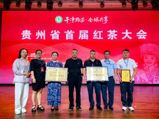 喜讯！普定红茶在贵州省首届红茶大会荣获两项荣誉