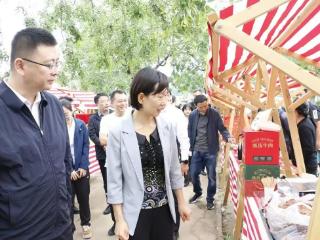 邹平：圆铃枣采摘+“寻美”展 双线助农活动启幕