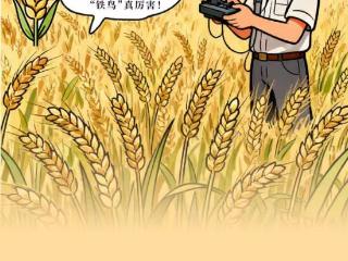 长图丨田间的对话