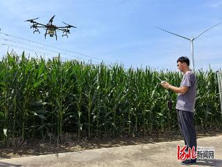 AI赋能千行百业一线故事（十三）：一部手机，装着田间大小事