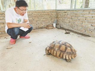 厦门首家"野生动物医院"开张 刚开张就迎来"客户"