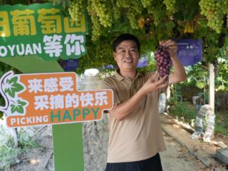 种在土地上的“甜蜜”与“希望”，长沟镇“新农人”的逐梦故事