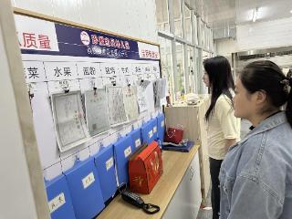 小白峪村开展双节前安全专项检查 筑牢校园安全防线