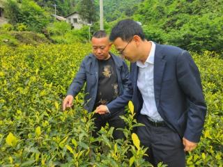 工行遵义绥阳支行落地首笔票据贴现业务 畅通企业融资新渠道