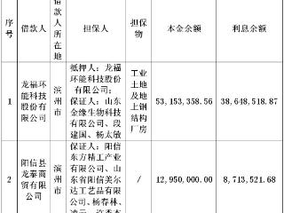 中国东方资产山东省分公司关于龙福环能科技股份有限公司和阳信县龙泰商贸有限公司两户债权资产的处置公告