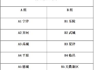 德州市足球甲级联赛来啦，10月18日开踢