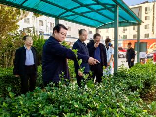 德州市第七人民医院开展节前安全检查 筑牢双节平安“防护网”