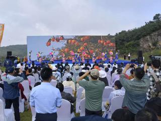 青岛即墨龙泉莲花田园：国庆文旅盛宴启幕 邀您共赏乡村振兴新画卷