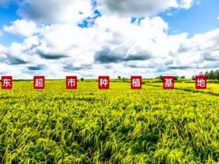 京东农特产节成交额增长超60% 百万亩京东基地助百万农户增收三成