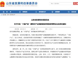 亚太森博入选山东省“十强产业”集群领军企业名单
