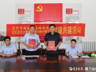 成武农商银行宝峰党支部与洪楼村党支部党建共建携手推进乡村振兴