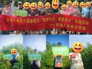 前海人寿江苏分公司第十届客服节举办“甜蜜收获，感恩同行”果园采摘活动
