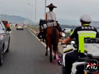 浙江台州一“侠客”骑马上桥还有交警护送？部门回应：并非护送，为将其安全送下去