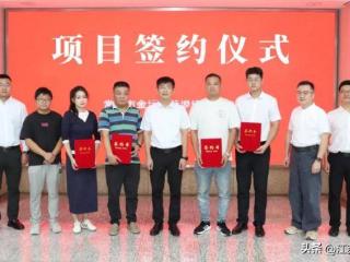 招商迎“丰收季”！4个项目落地茅管办（薛埠镇）