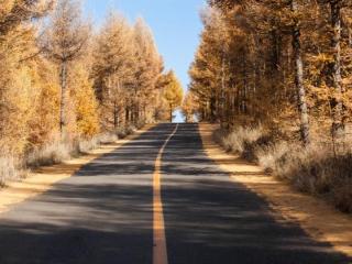 家国记忆·暖月流晖|通往故乡的那条路