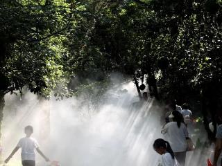 福建省气象台：未来几天，福州最高温或达39℃！