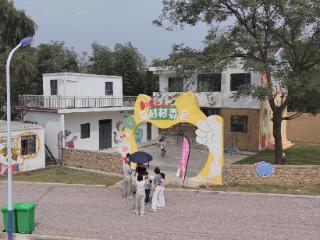咱村的新鲜事丨网红金宝“引”客来 “猫”村解锁新玩法