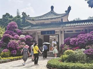 厦门园林植物园：数百种三角梅花浪 流量担当