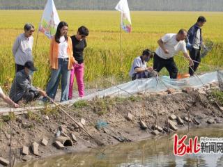 唐山曹妃甸：农旅融合 国庆旅游市场火爆