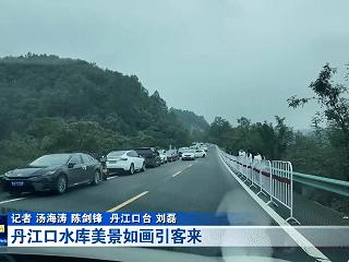 游客好评如潮！丹江口“最美山水公路”藏不住了