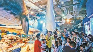 亲子共赴科学之约 厦门科技馆国庆中秋假期前四天客流量超6万人次