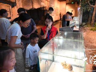 天柱山地质博物馆地质科普游成亮点