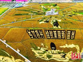 唐山遵化：“稻”梦空间 多彩假日