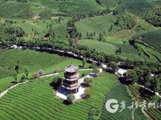 凤冈：国庆中秋游人聚 景区体验乐趣多