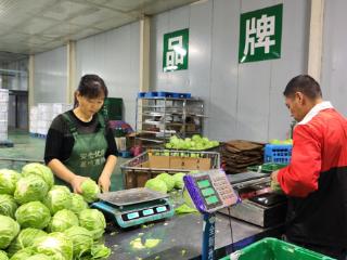 固安：构建多元供应网络，让“菜篮子”货丰价稳